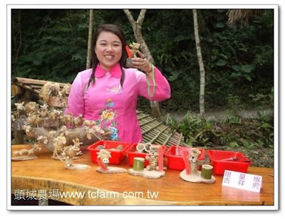 Toucheng Leisure Farm: Chinese New Year - 1